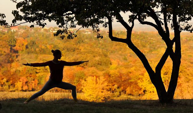 femme pratiquant du yoga, guerrier II, dans un foret autumnal