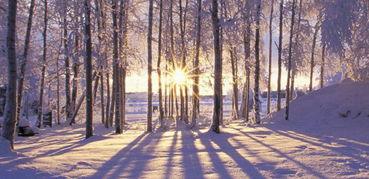 Incarne L’Hiver : Un Voyage Sacré Corps & Cosmos