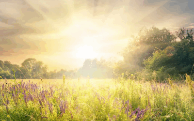 Inspirer Le Ciel Du Printemps : Eveiller Ton Corps énergétique