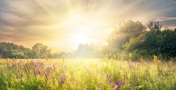 Inspirer Le Ciel Du Printemps : Eveiller Ton Corps énergétique